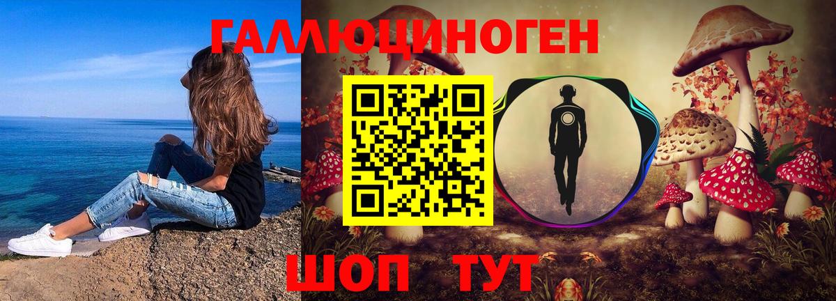 Саранск  Галлюциногенные грибы Psilocybe  Вход с VPN 
